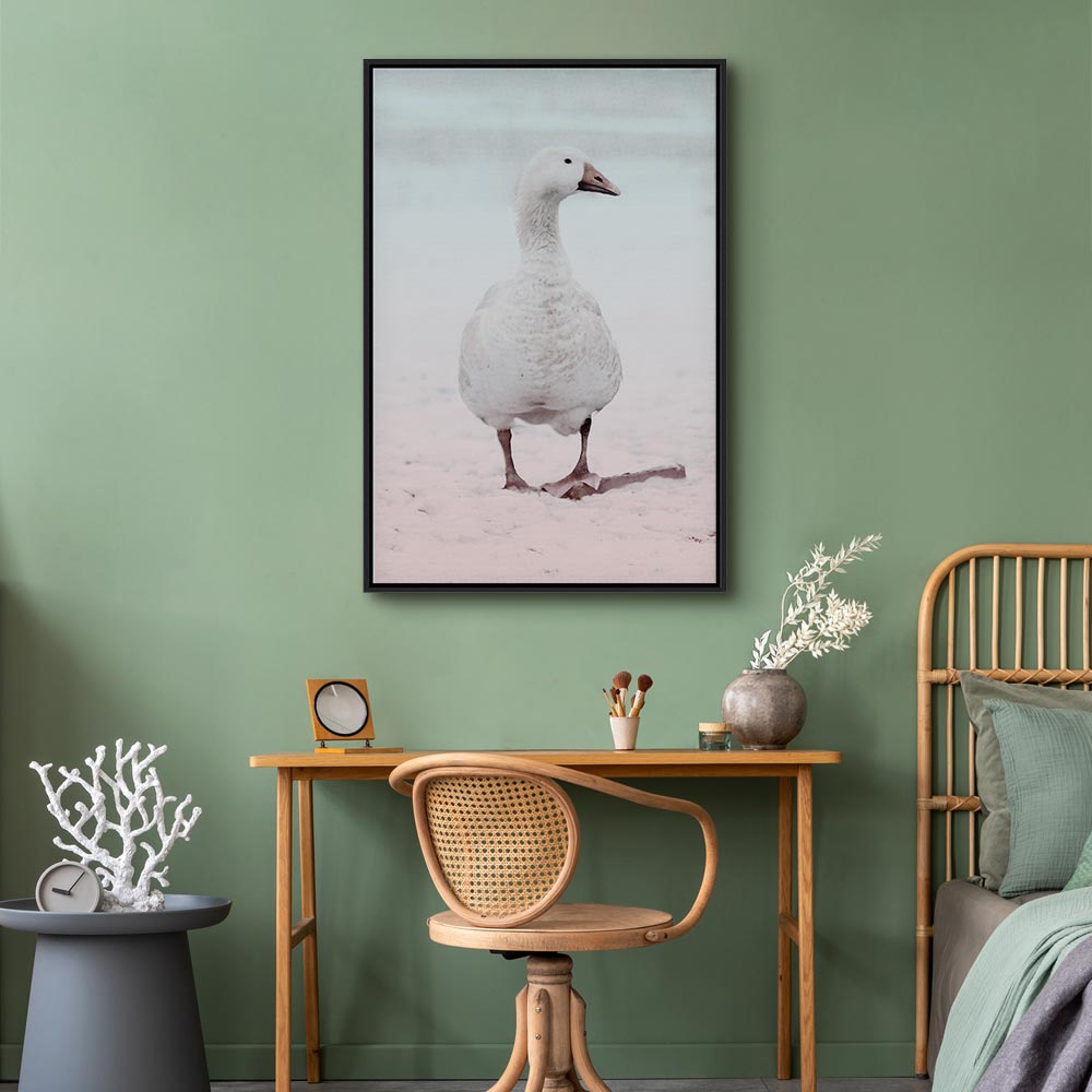 Winter Duck Nature Canvas Print
