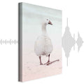 Winter Duck Nature Canvas Print