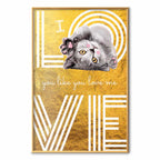 Cat Love Quote Textured Poster