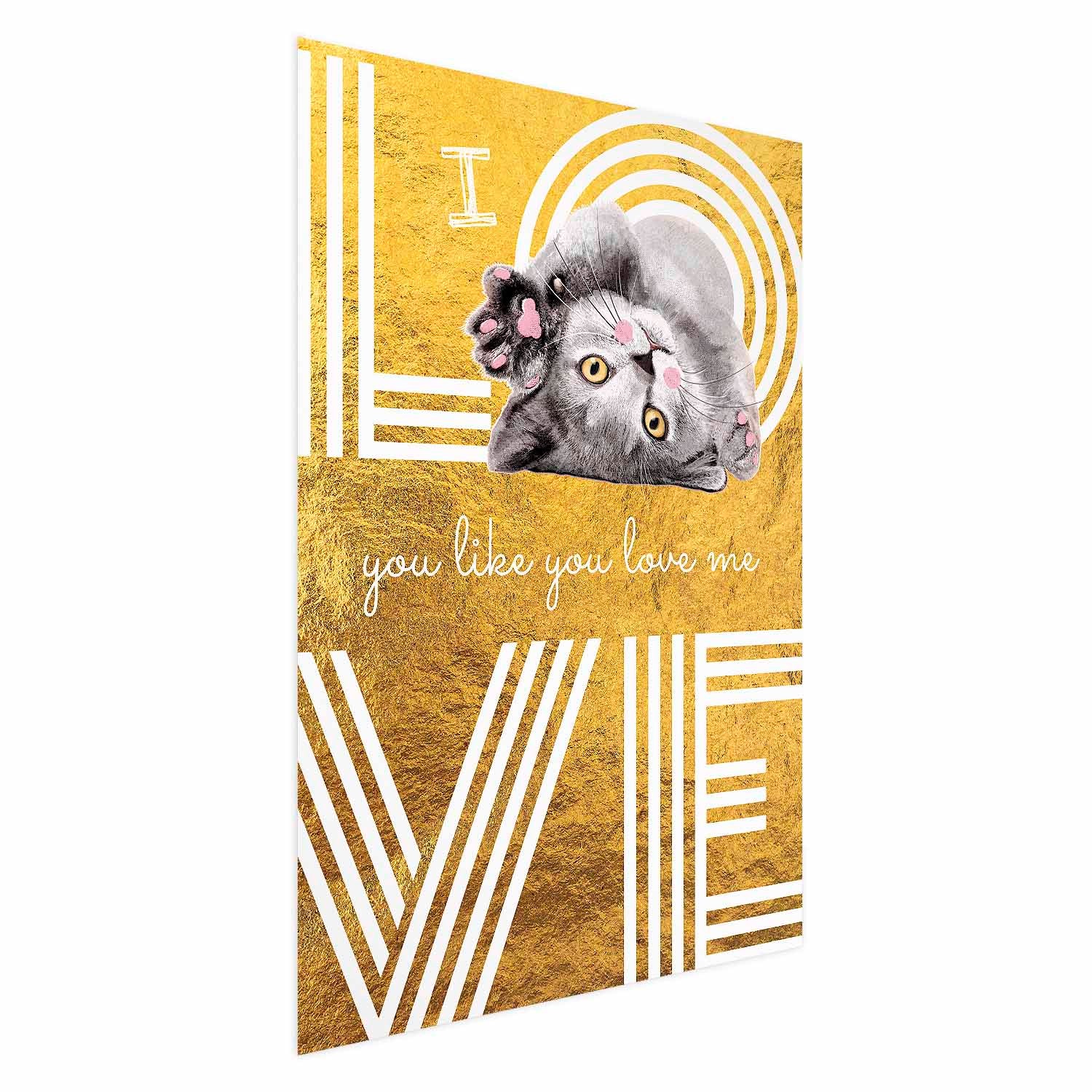Cat Love Quote Textured Poster