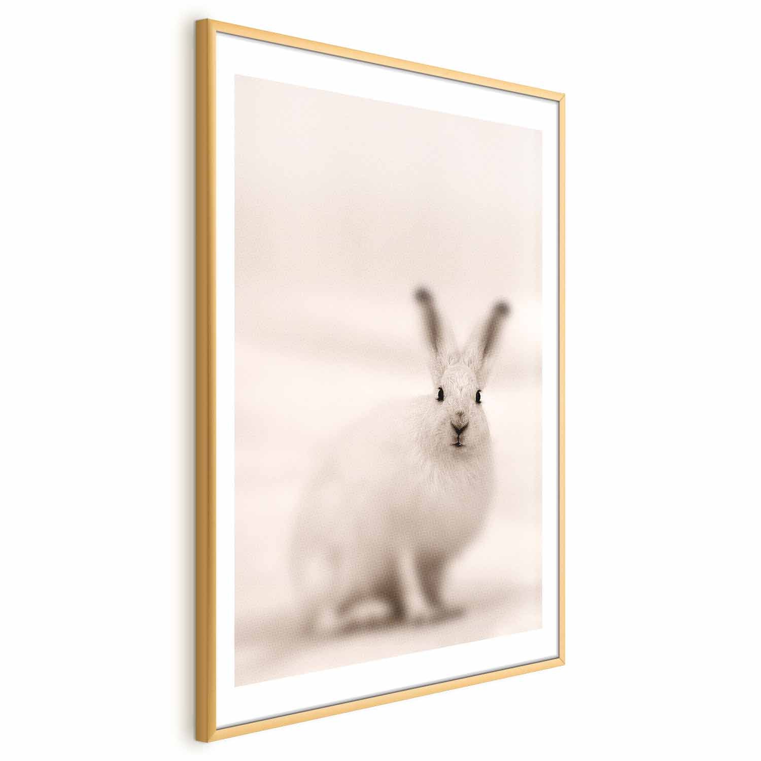 Fearful Look Animal Poster