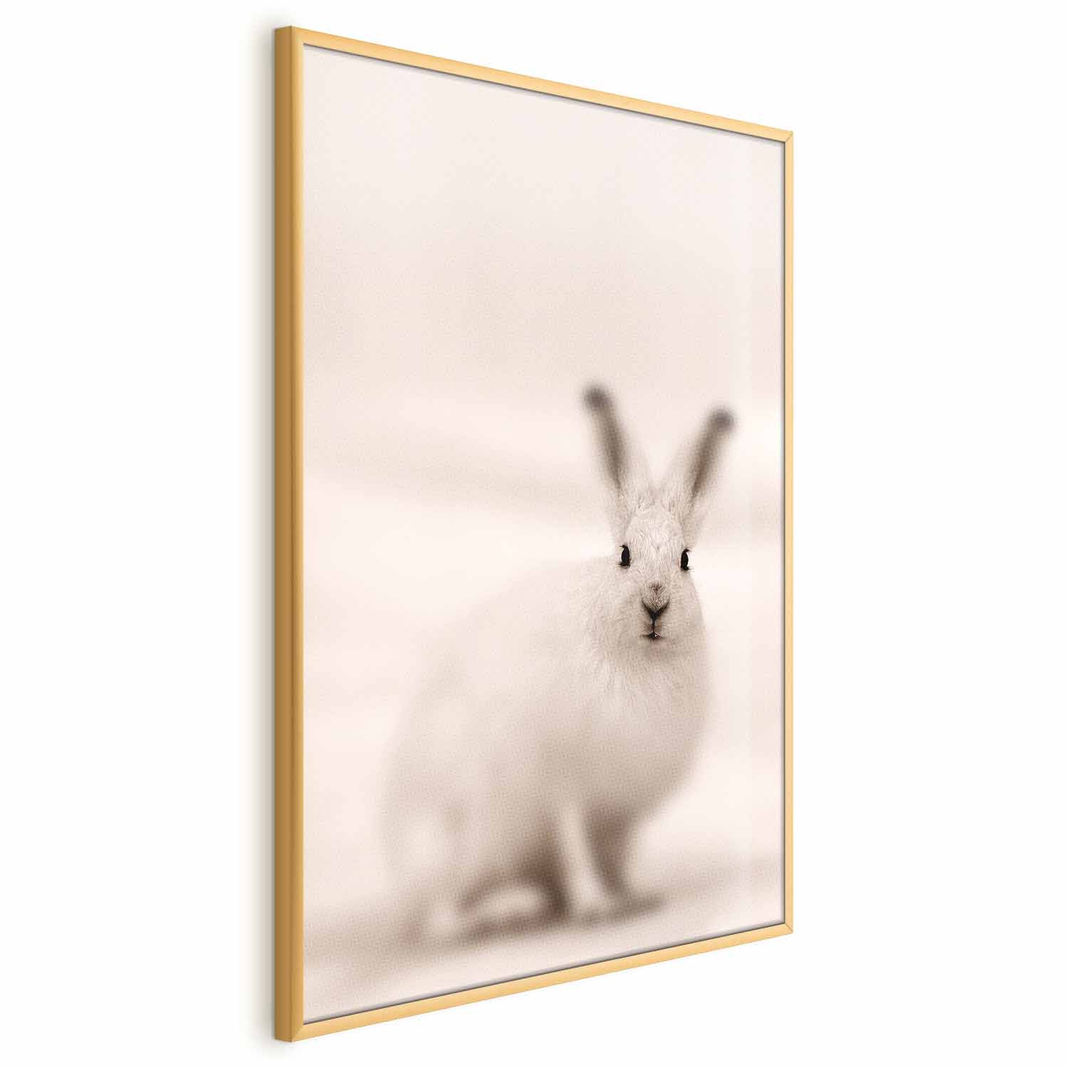 Fearful Look Animal Poster