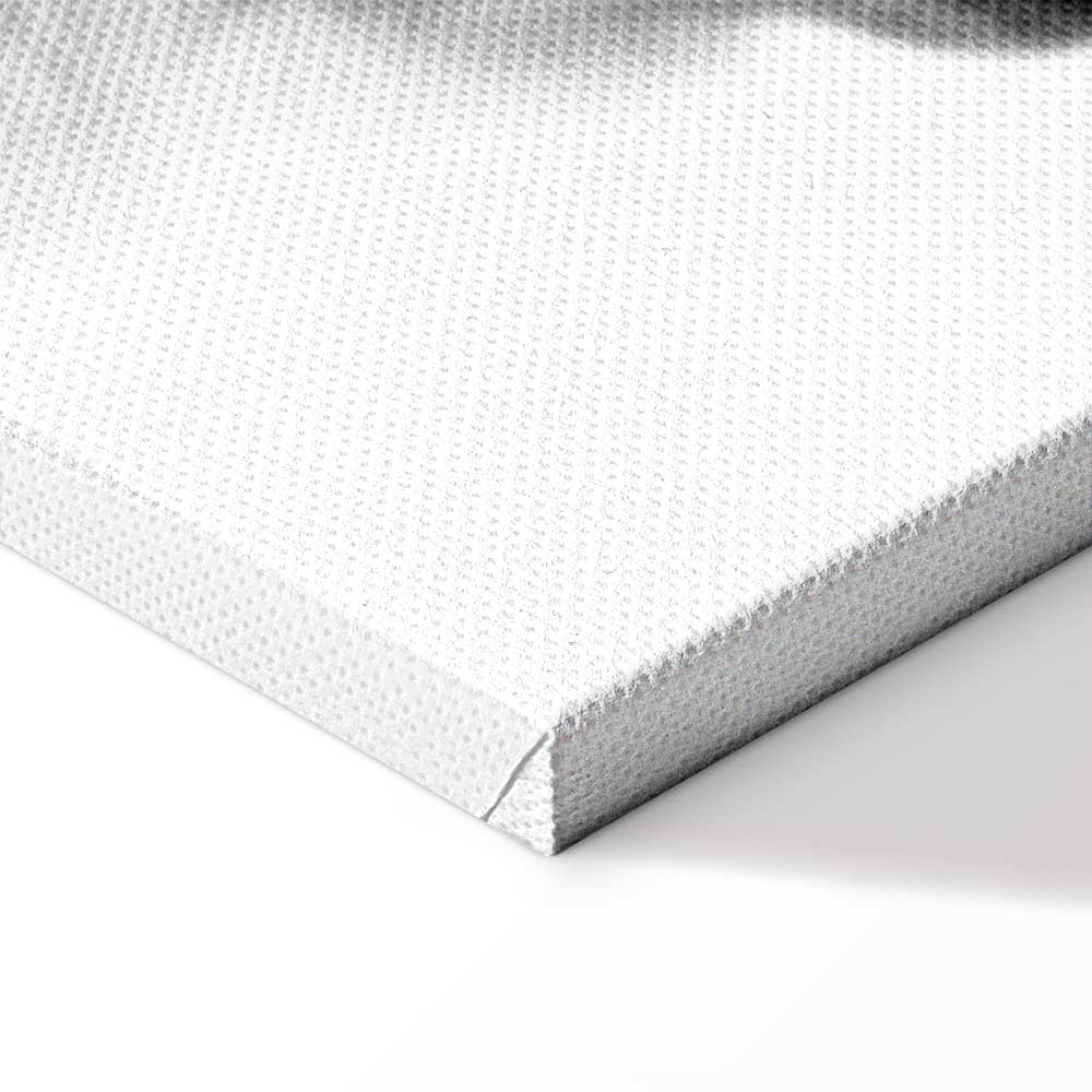 Wolf and Butterfly Dream Animals Canvas Print