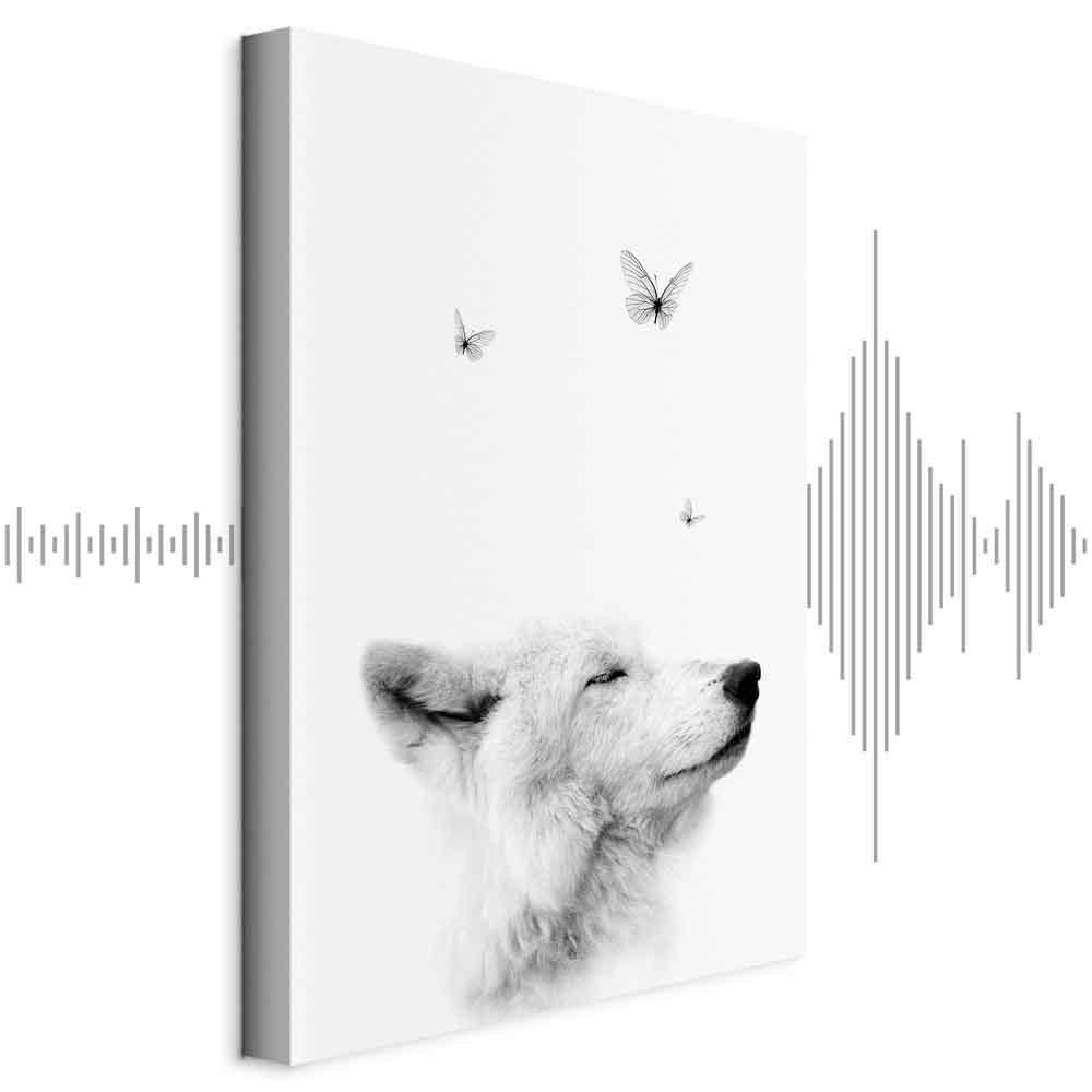 Wolf and Butterfly Dream Animals Canvas Print