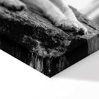 Dog in Forest Romantic Canvas Print