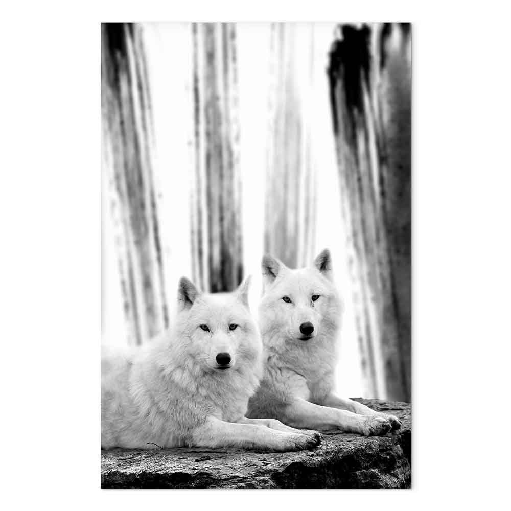 Dog in Forest Romantic Canvas Print