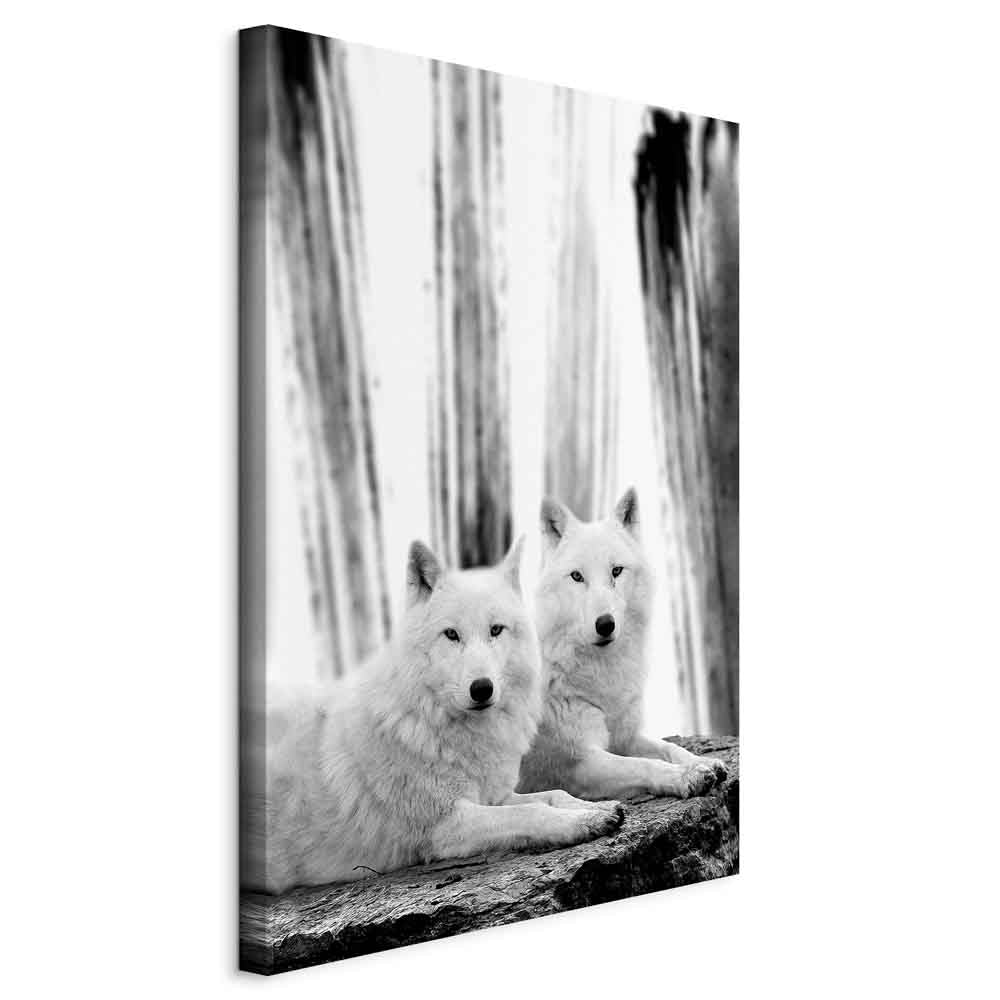 Dog in Forest Romantic Canvas Print