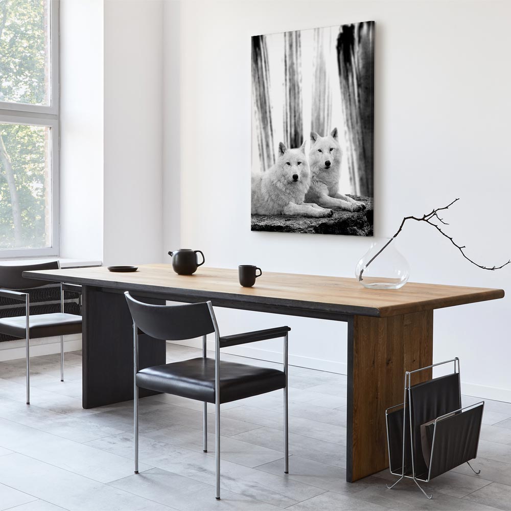 Dog in Forest Romantic Canvas Print