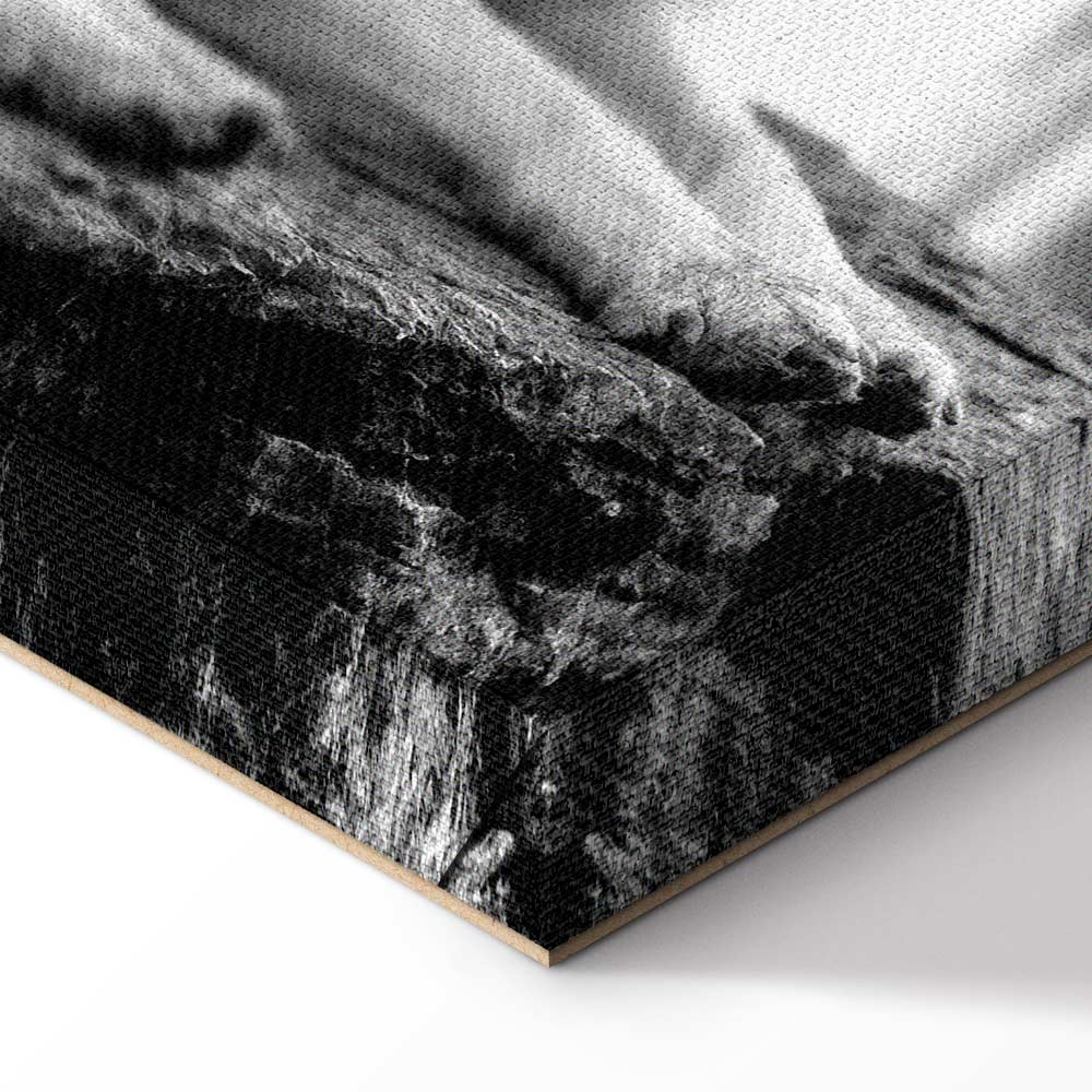 Dog in Forest Romantic Canvas Print