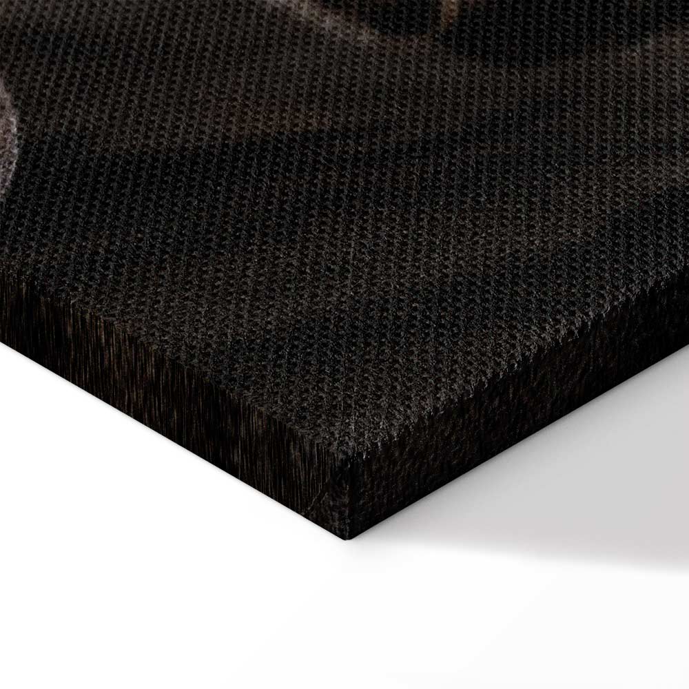 Fiery Wind Horse Nature Canvas Print