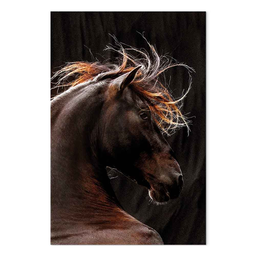 Fiery Wind Horse Nature Canvas Print