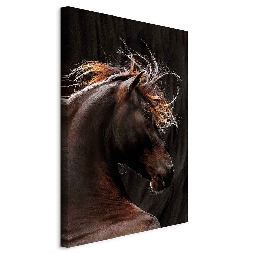 Fiery Wind Horse Nature Canvas Print