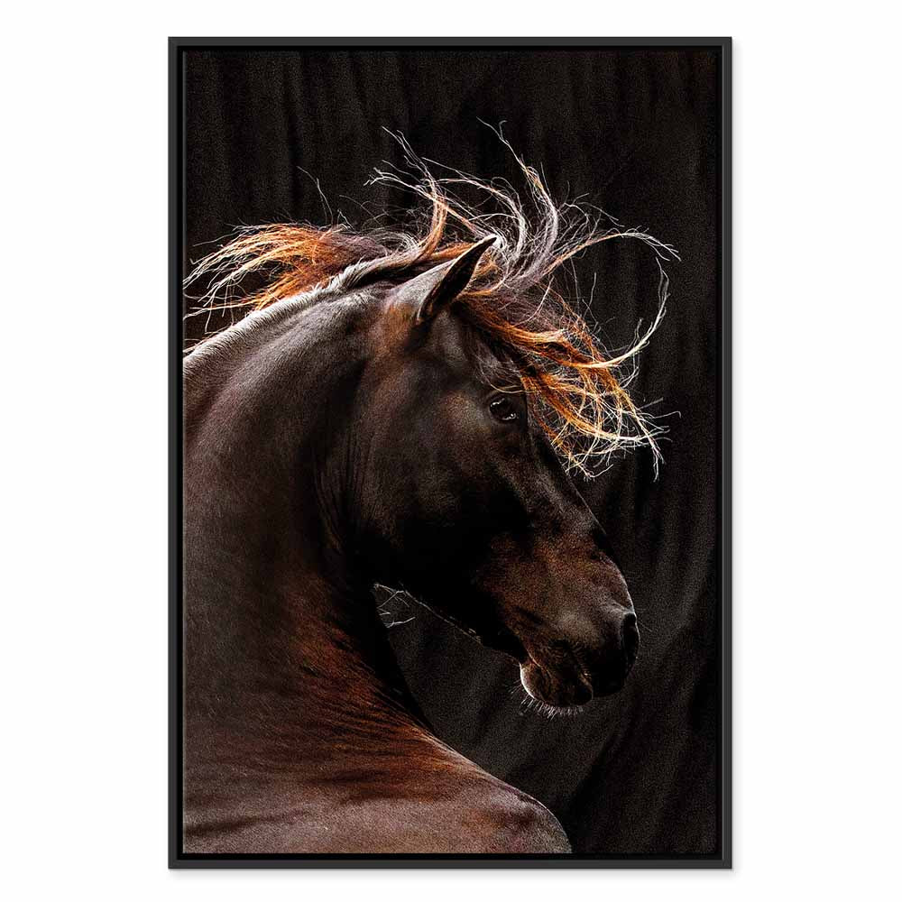 Fiery Wind Horse Nature Canvas Print