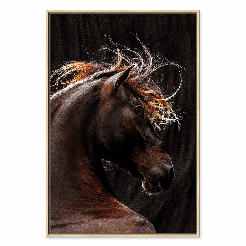 Fiery Wind Horse Nature Canvas Print