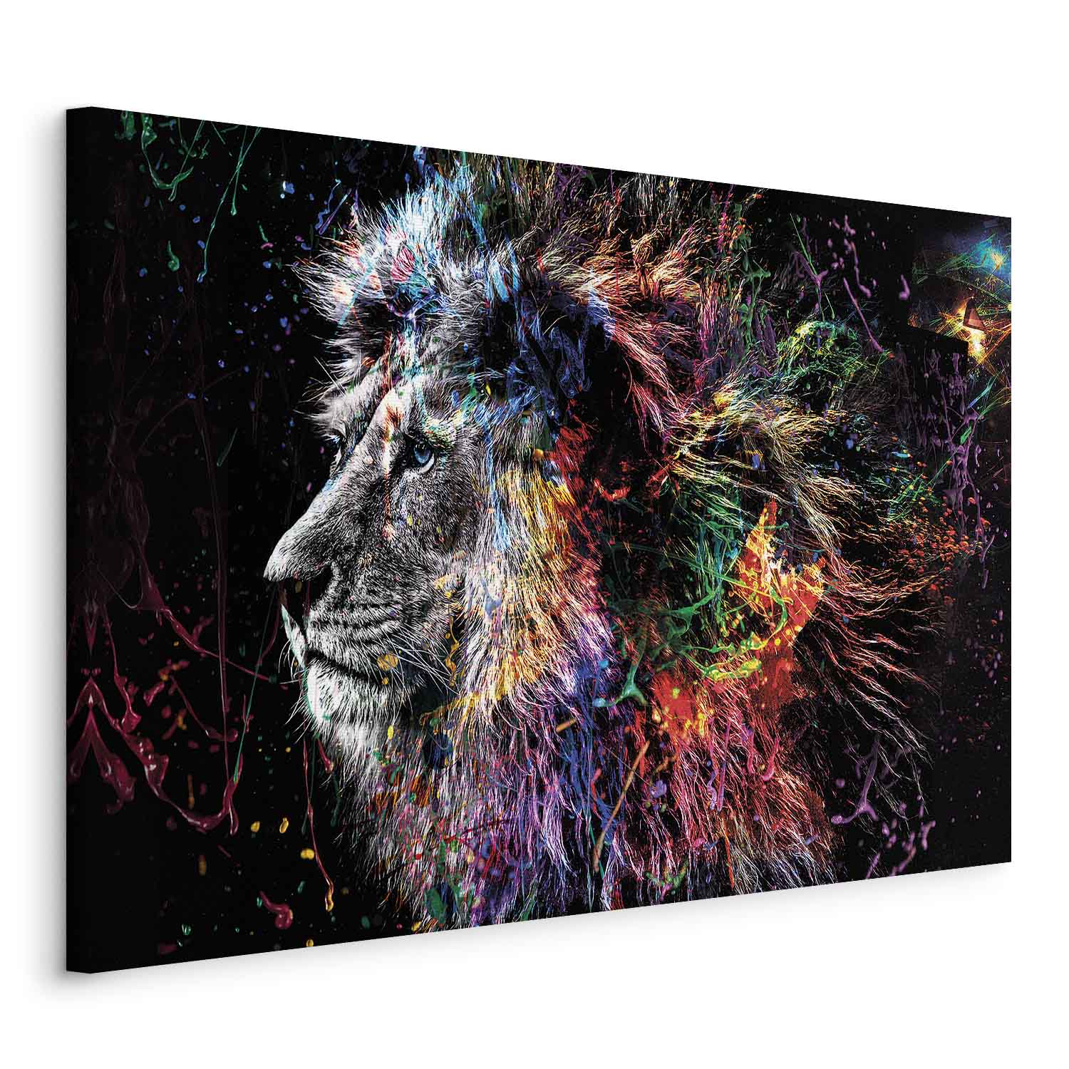 Colorful Crazy Lion Canvas Print
