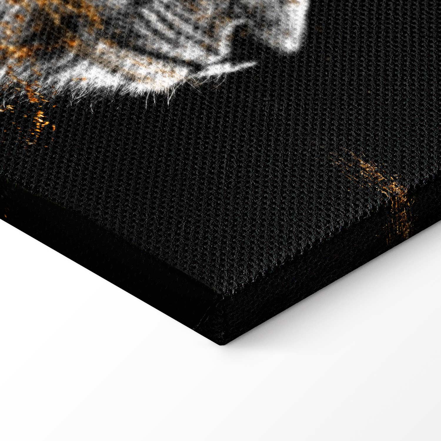 Abstract Lion King Canvas Print