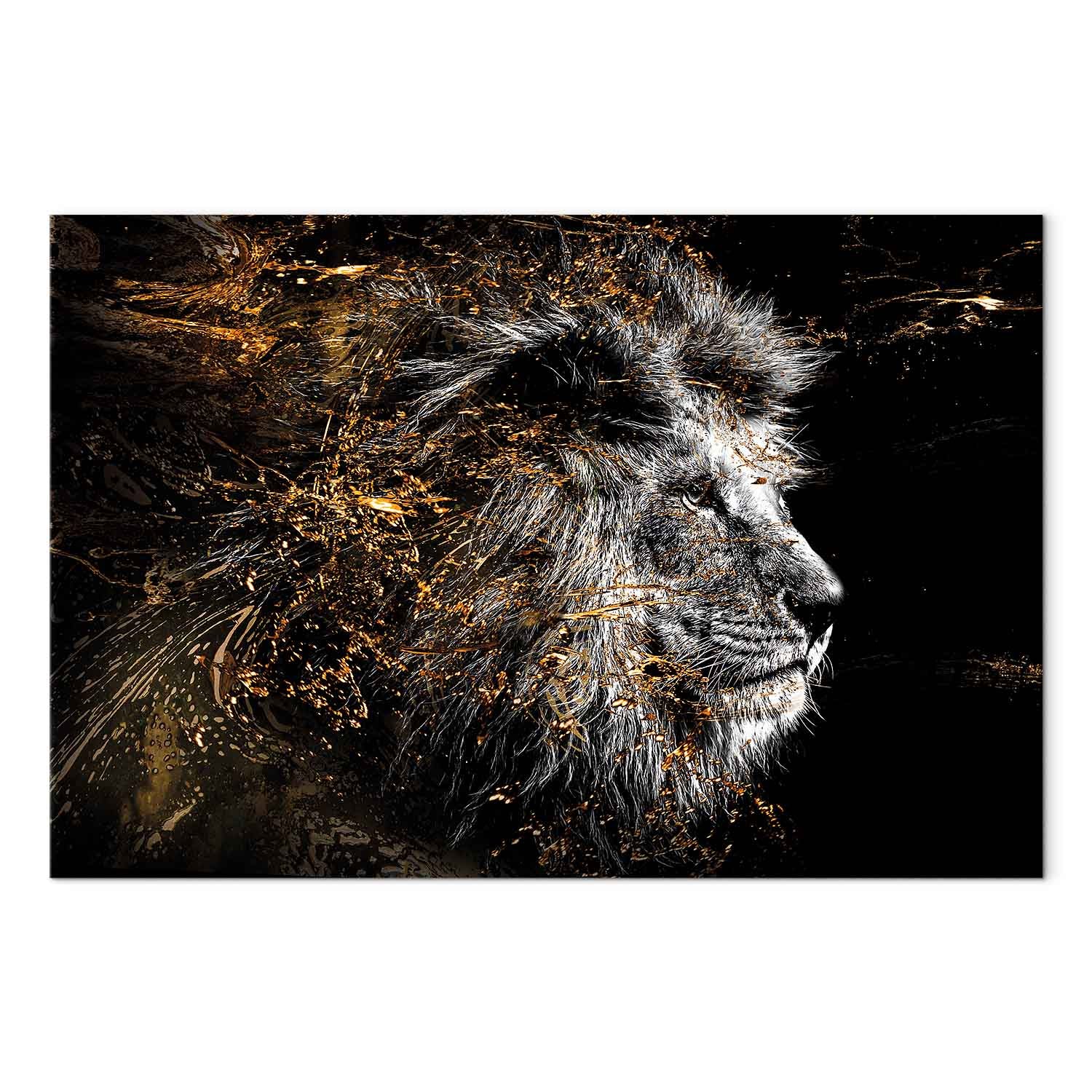 Abstract Lion King Canvas Print
