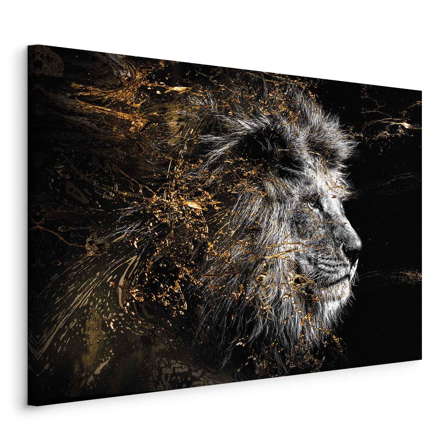 Abstract Lion King Canvas Print