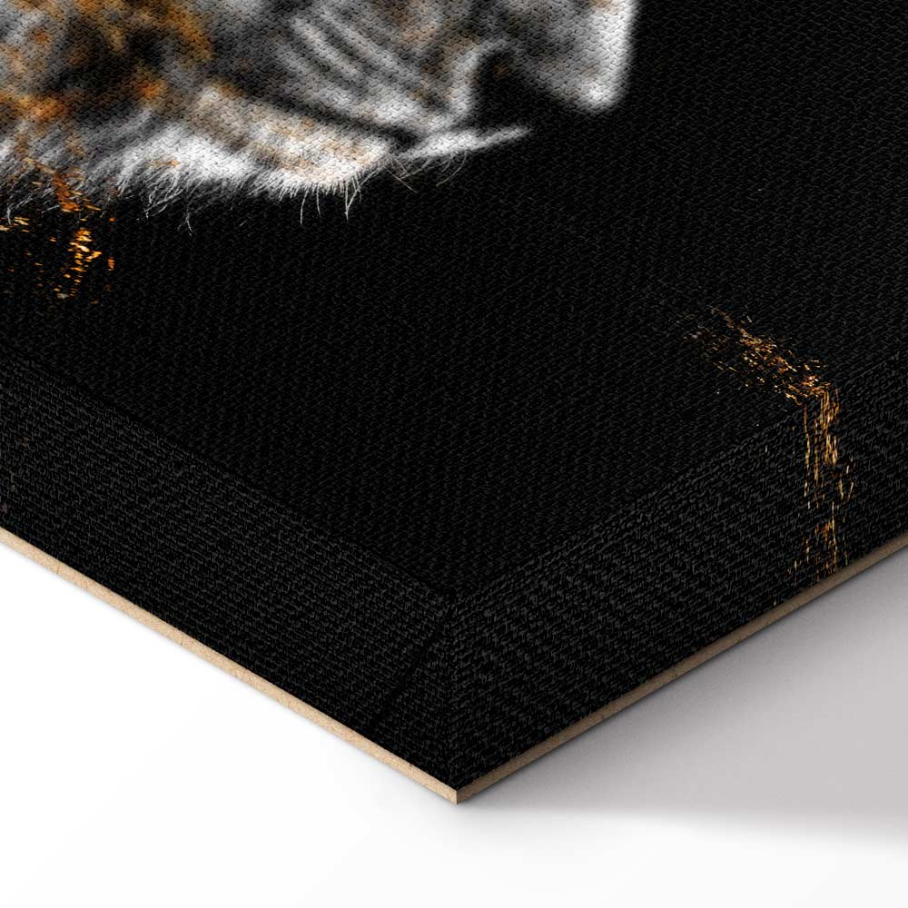 Abstract Lion King Canvas Print