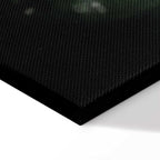 Forest Animals Nature Canvas Print