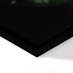 Forest Animals Nature Canvas Print