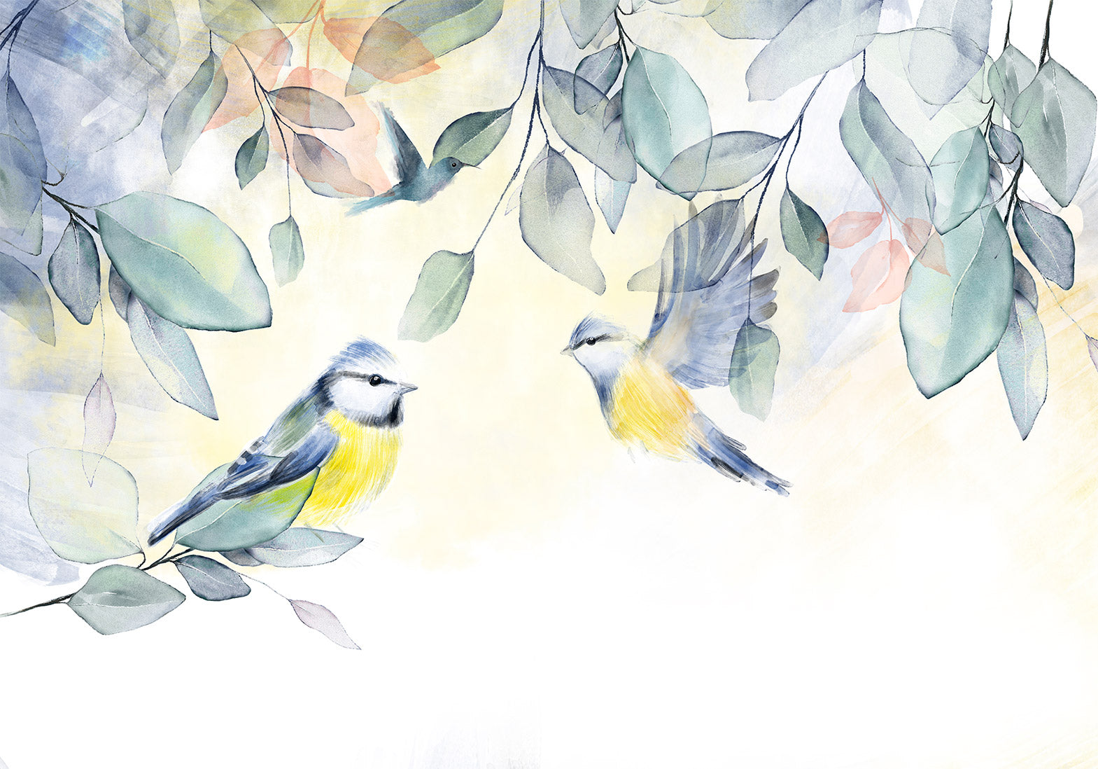 Wall Mural - Colorful Titmouse