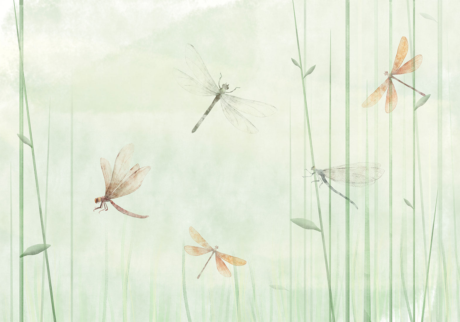 Wall Mural Dragonflies in Meadow