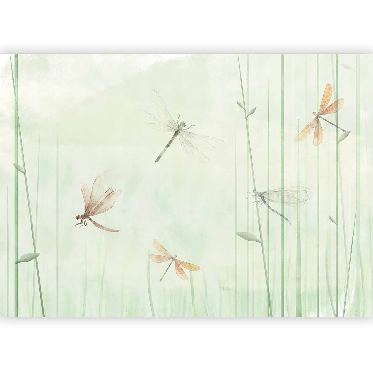 Wall Mural Dragonflies in Meadow