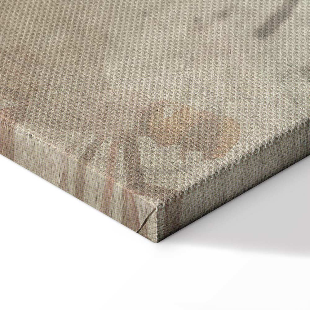 Insect Nature Multi-Panel Canvas Print