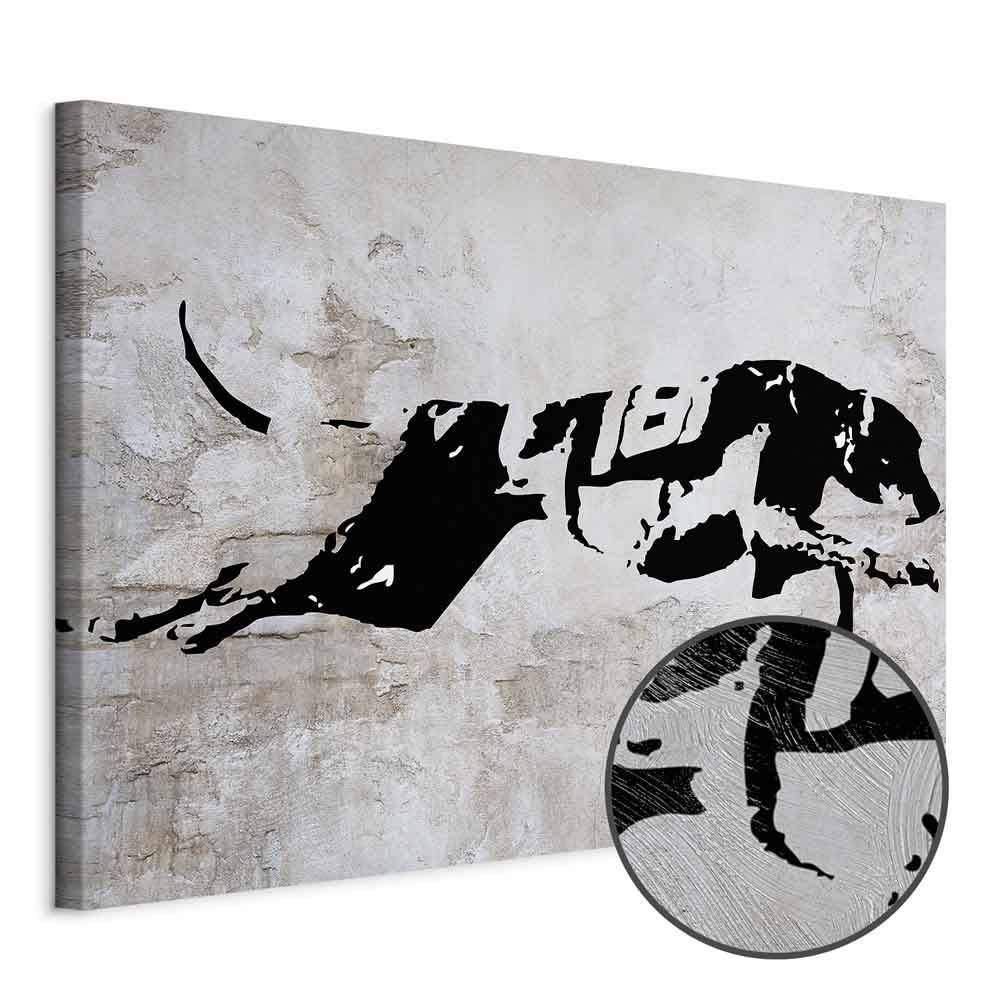 Greyhound Race Animal Canvas Print