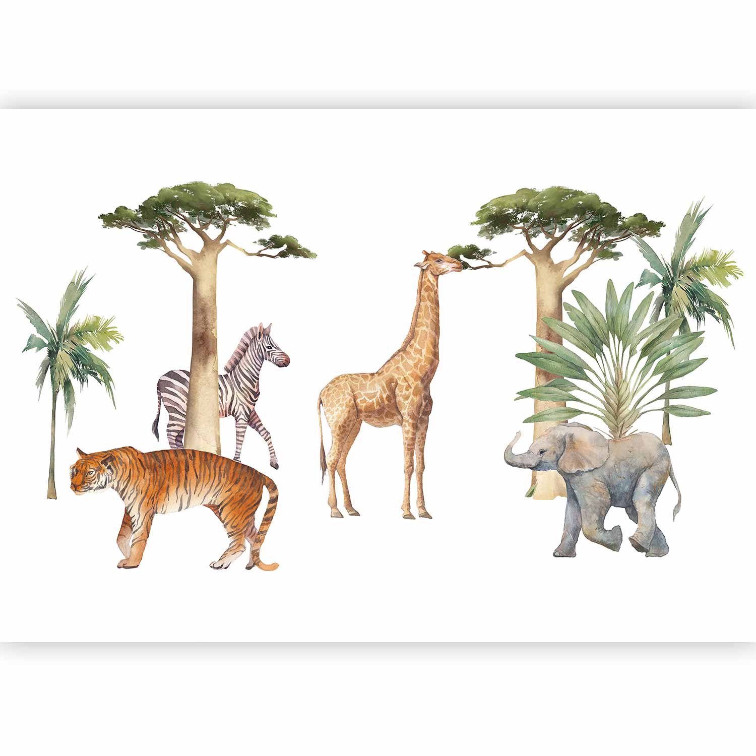 Wall Mural Jungle Animals on White Background Watercolour