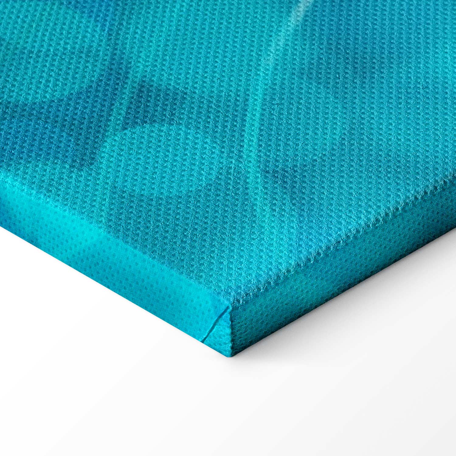 Japanese Koi Fish Pond Nature Canvas Print