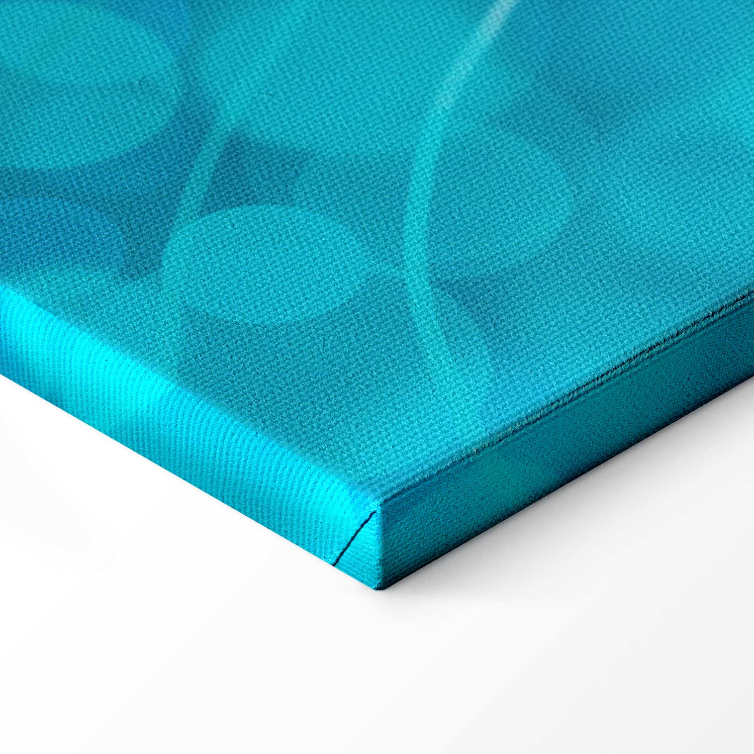 Japanese Koi Fish Pond Nature Canvas Print