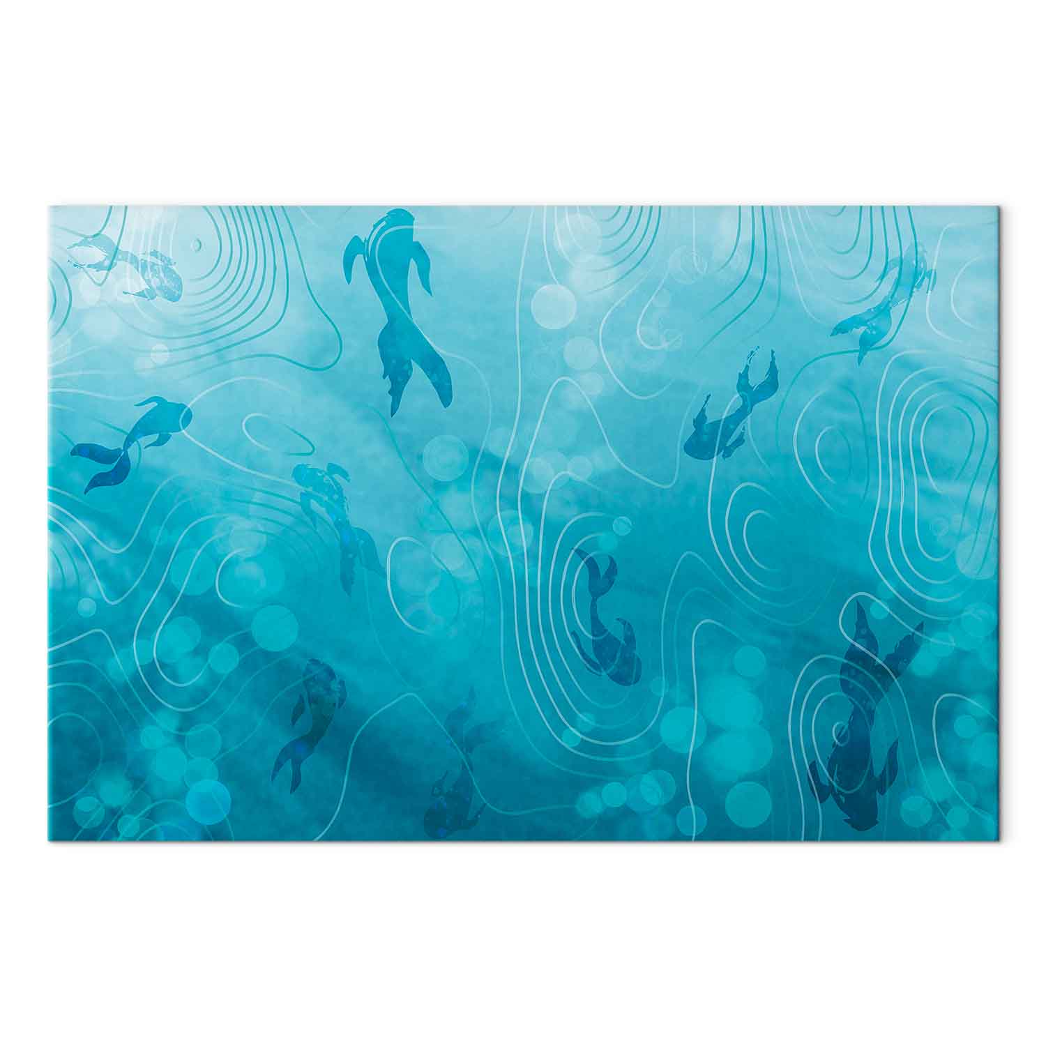 Japanese Koi Fish Pond Nature Canvas Print