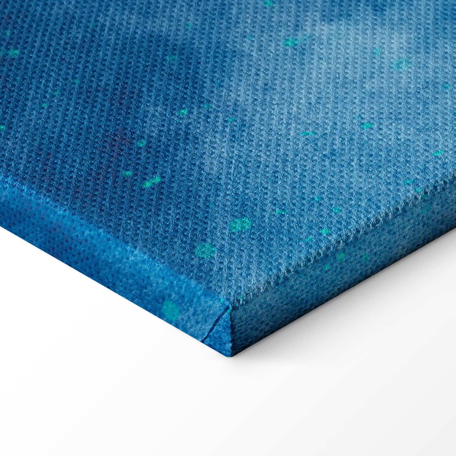 Japanese Sea Depths Fishes Canvas Print