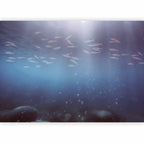 Japanese Deep Sea Fish Wall Mural