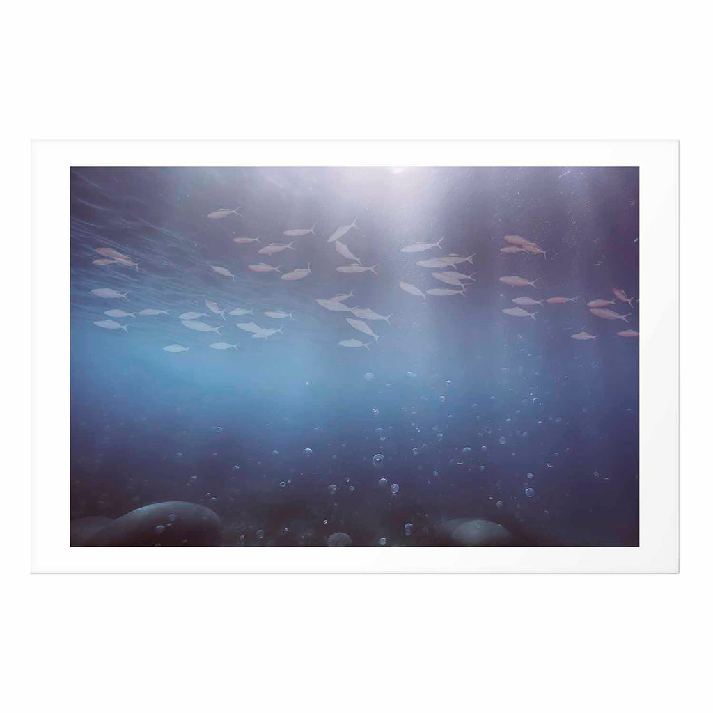 Ocean Fish Deep Sea Poster