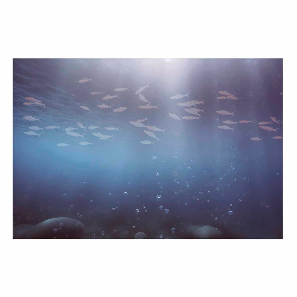 Ocean Fish Deep Sea Poster