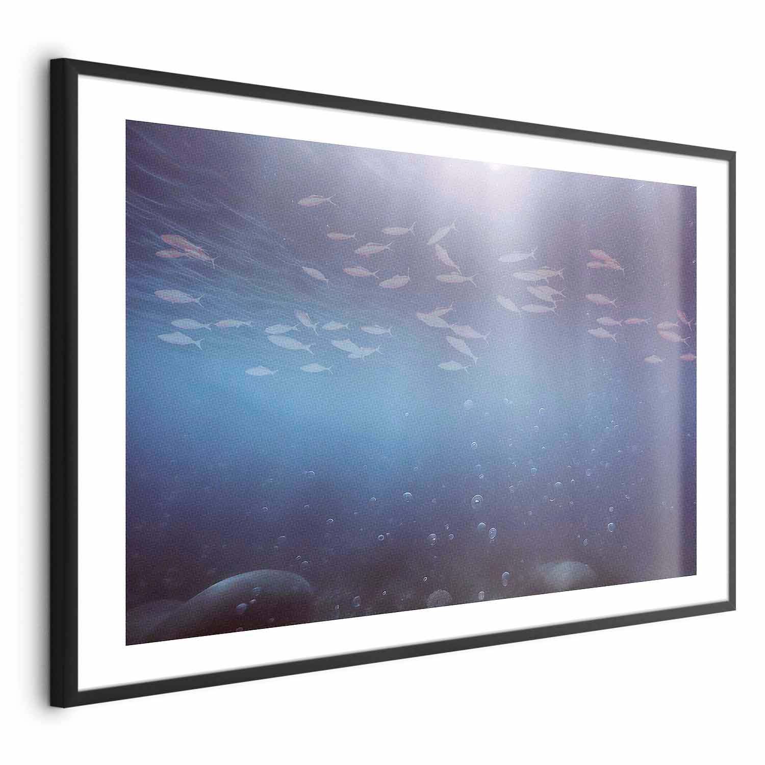 Ocean Fish Deep Sea Poster