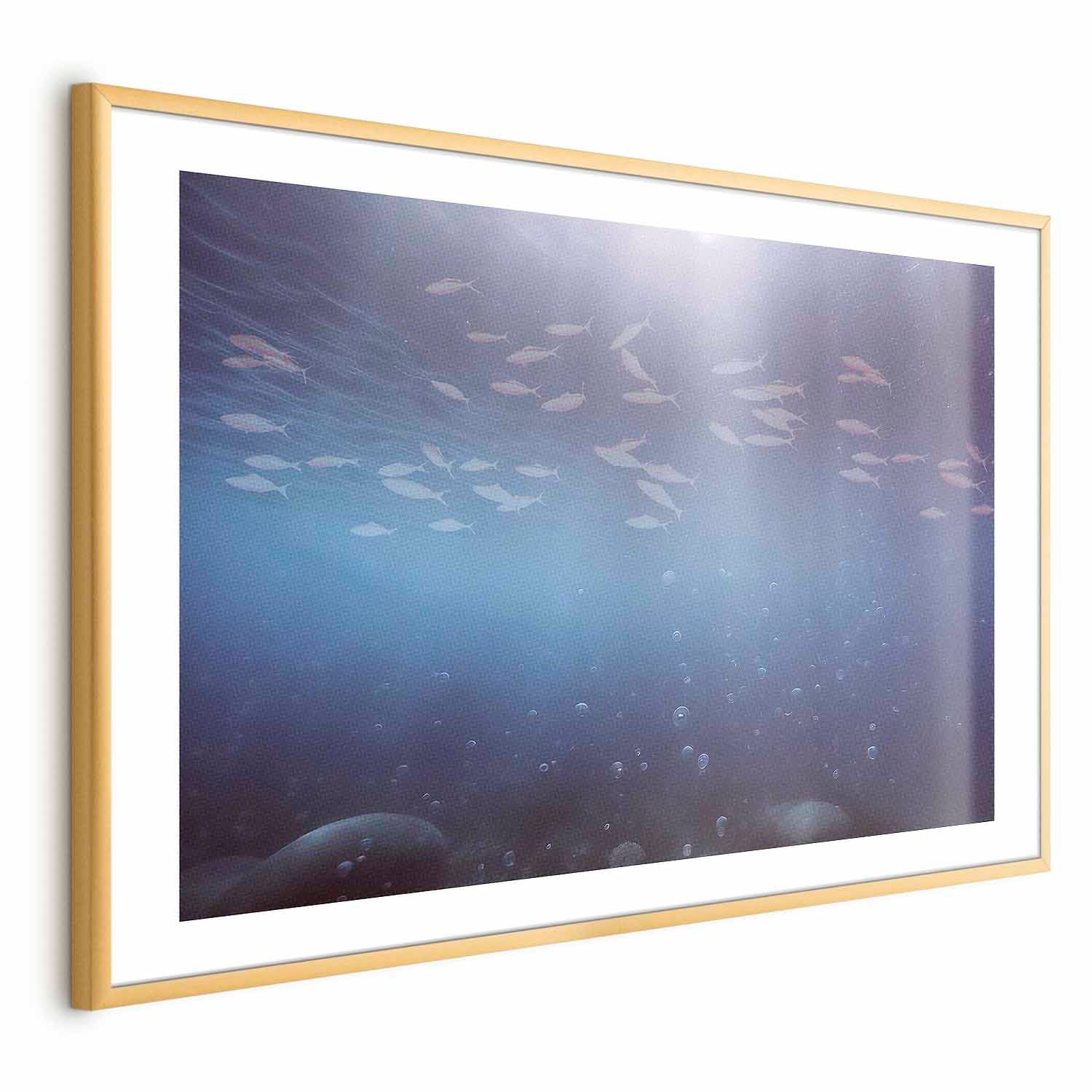 Ocean Fish Deep Sea Poster