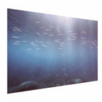 Ocean Fish Deep Sea Poster
