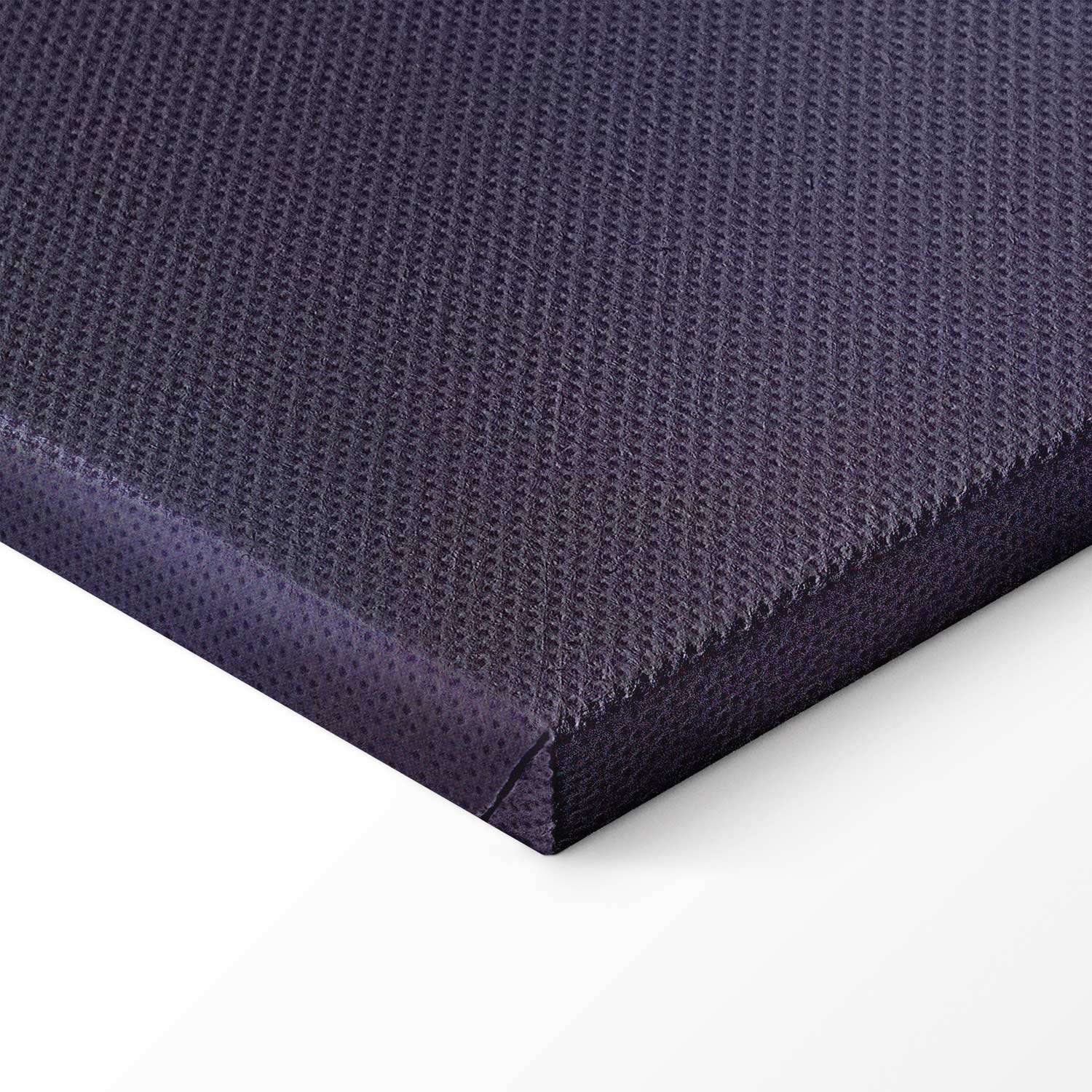 Deep Sea Fish Japanese Canvas Print