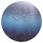 Deep Sea Fish Round Wall Mural