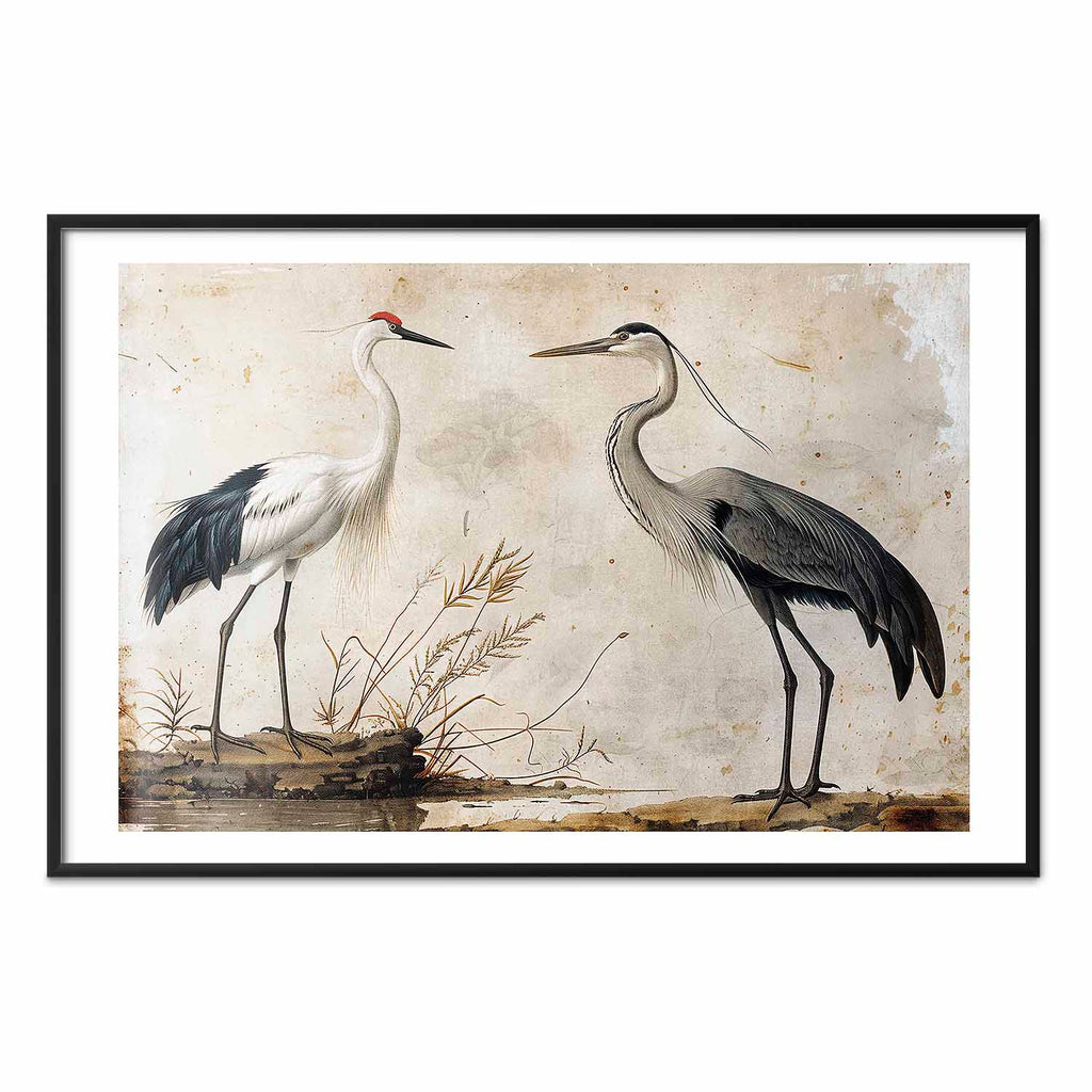 Vintage Heron and Crane Illustration Poster