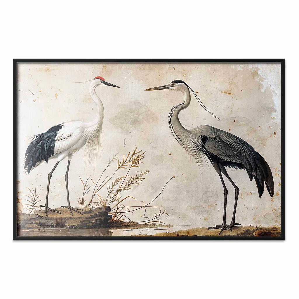 Vintage Heron and Crane Illustration Poster
