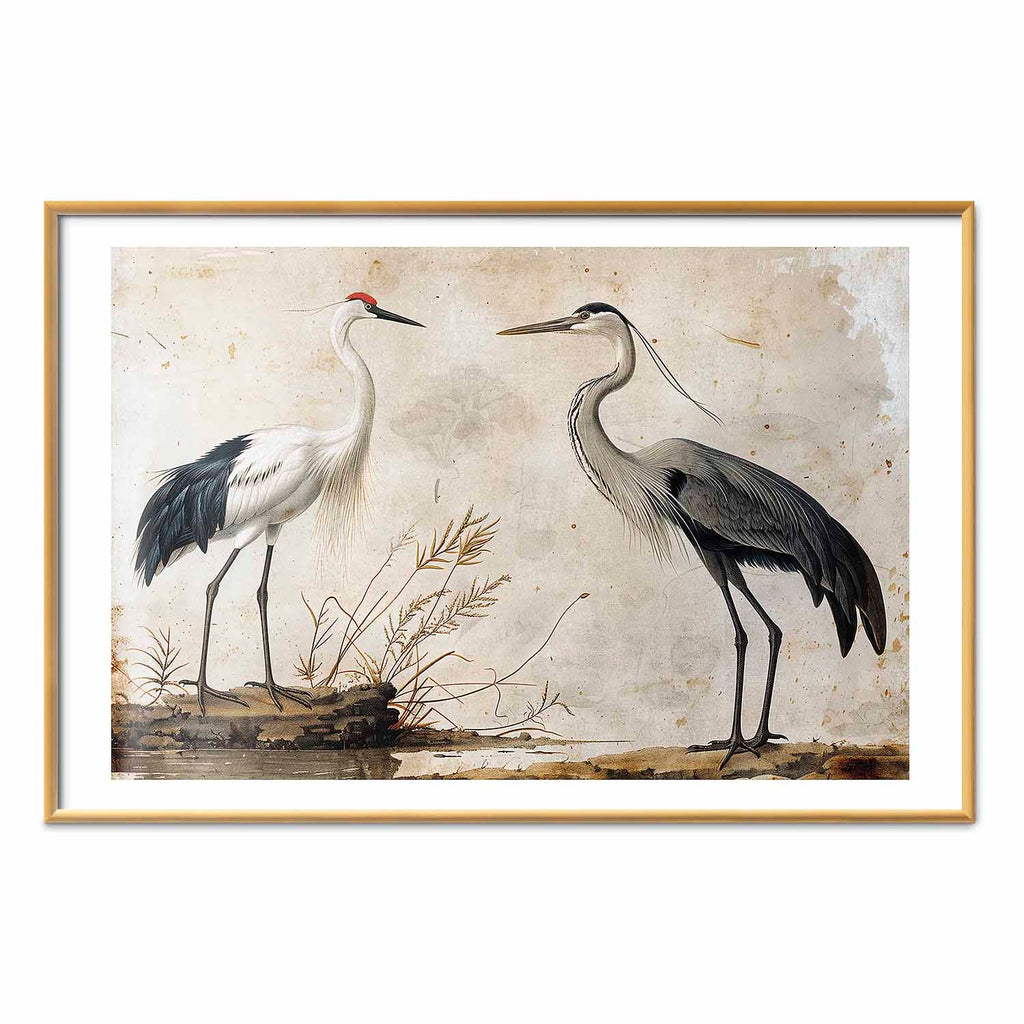Vintage Heron and Crane Illustration Poster
