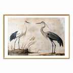 Vintage Heron and Crane Illustration Poster