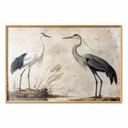 Vintage Heron and Crane Illustration Poster