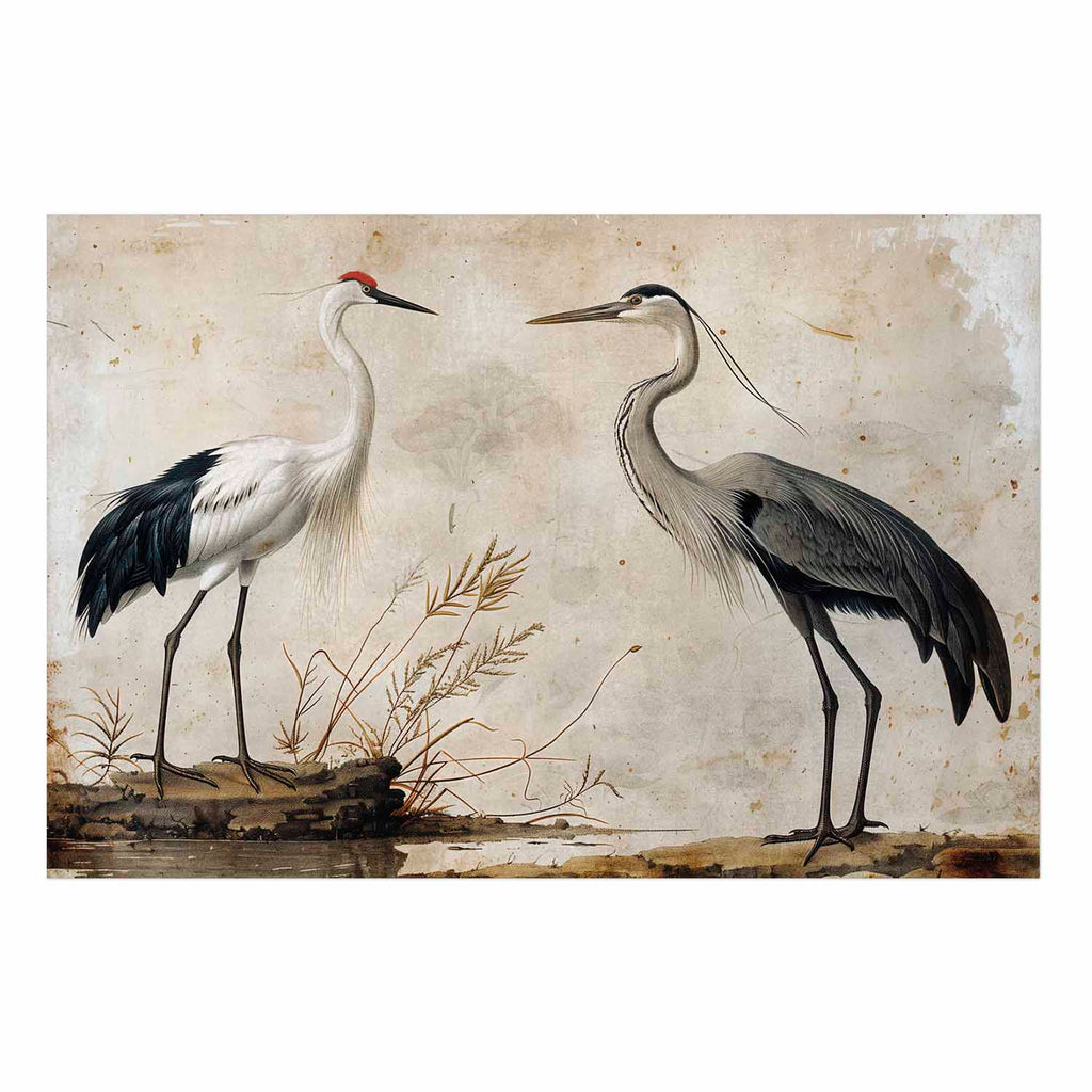 Vintage Heron and Crane Illustration Poster