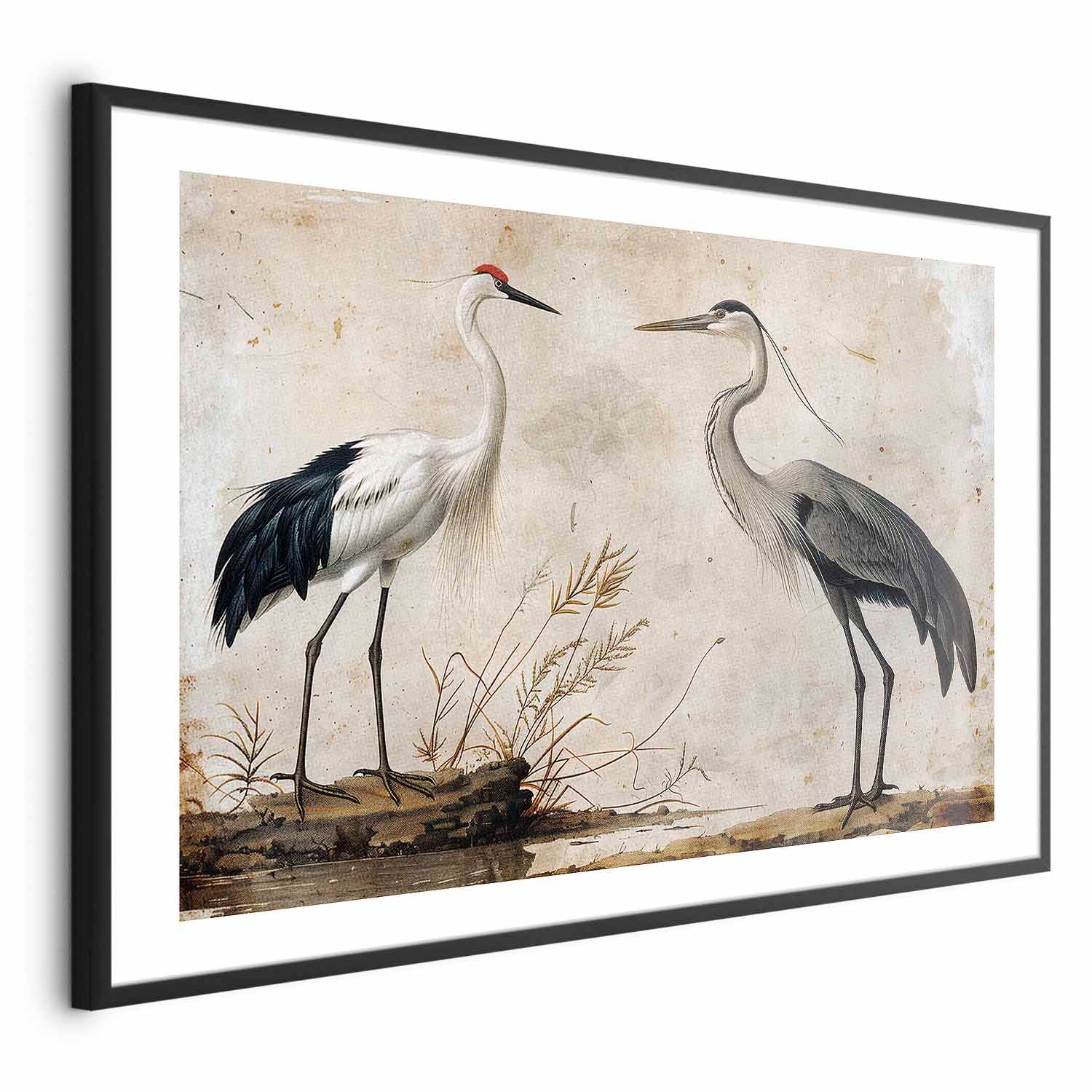 Vintage Heron and Crane Illustration Poster